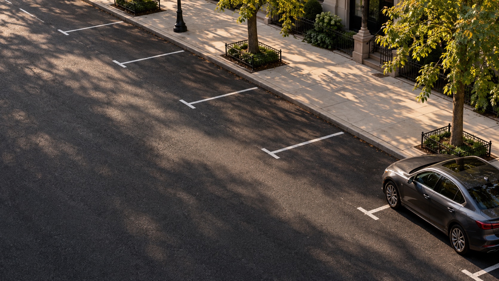 Open parking bays along a tree-lined city street